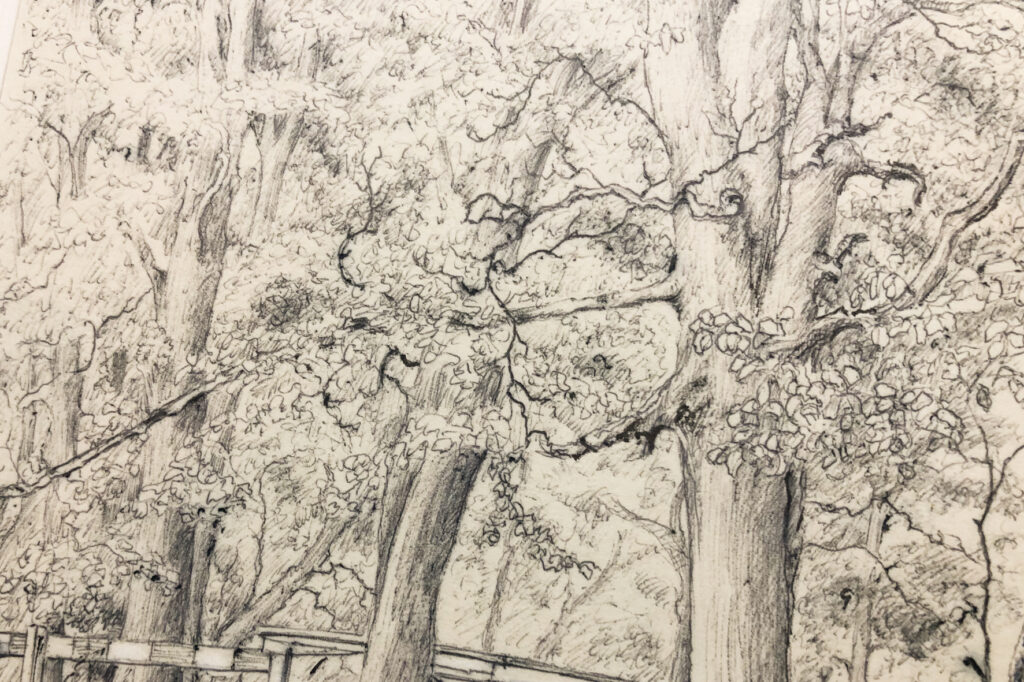 Pentekening, Warnsveld 1968 ingelijst